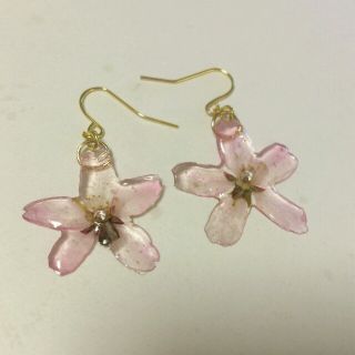 水の中の桜ピアス(ピアス)