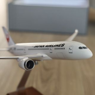 ジャル(ニホンコウクウ)(JAL(日本航空))の新品 JAL B787モデルプレーン(航空機)