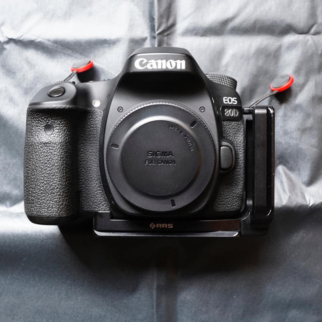 格安新品  Canon - CANON 80D 付属品多数 デジタル一眼