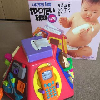 いたずら1歳やりたい放題(知育玩具)