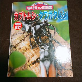 学研の図鑑　カブトムシ　クワガタムシ(ノンフィクション/教養)