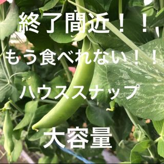 ゆうひ様 専用(野菜)