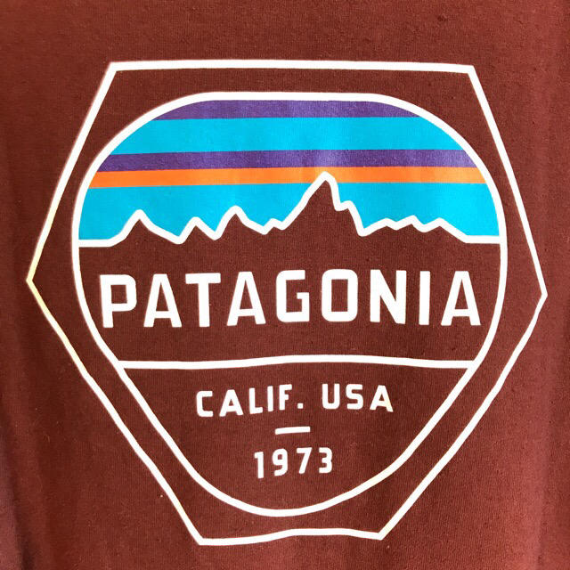 patagonia(パタゴニア)のPatagonia ロンT  メンズのトップス(Tシャツ/カットソー(七分/長袖))の商品写真