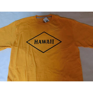 ボルコム(volcom)のボルコム 【GIVEBACK SERIES】【HAWAII】ロゴT US L 黄(Tシャツ/カットソー(半袖/袖なし))