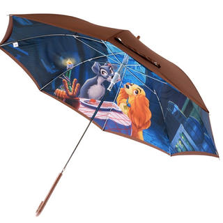 ディズニー アラジン 日傘 雨傘の通販 30点 Disneyのレディースを買うならラクマ