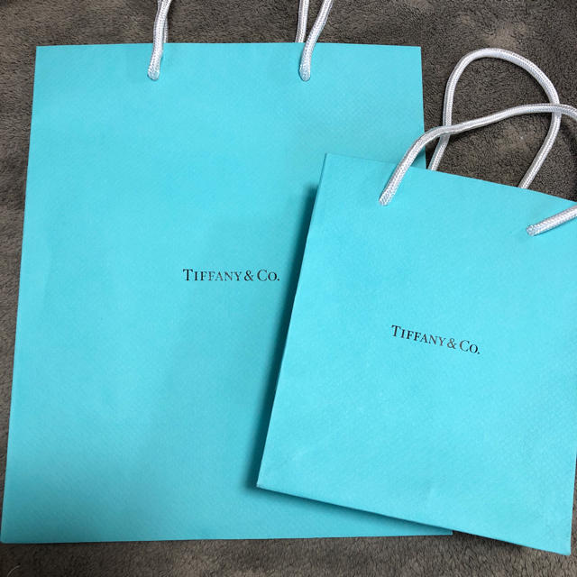 Tiffany & Co.(ティファニー)のTiffany&Co. ショップ袋 レディースのバッグ(ショップ袋)の商品写真