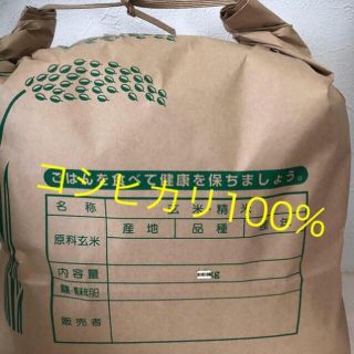 コシヒカリ 白米 5キロ(米/穀物)