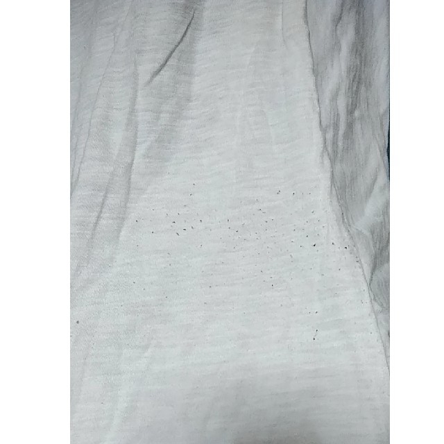 ScoLar(スカラー)の個性派ドルマントップス レディースのトップス(カットソー(半袖/袖なし))の商品写真