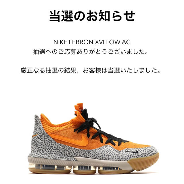 NIKE(ナイキ)のNIKE LEBRON XVI LOW AC  ナイキ レブロン16  アトモス メンズの靴/シューズ(スニーカー)の商品写真
