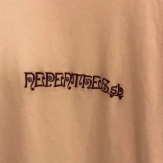 ネペンテス(NEPENTHES)のNEPENTHES SB ネペンテスエスビー needles XL ロンT(Tシャツ/カットソー(七分/長袖))