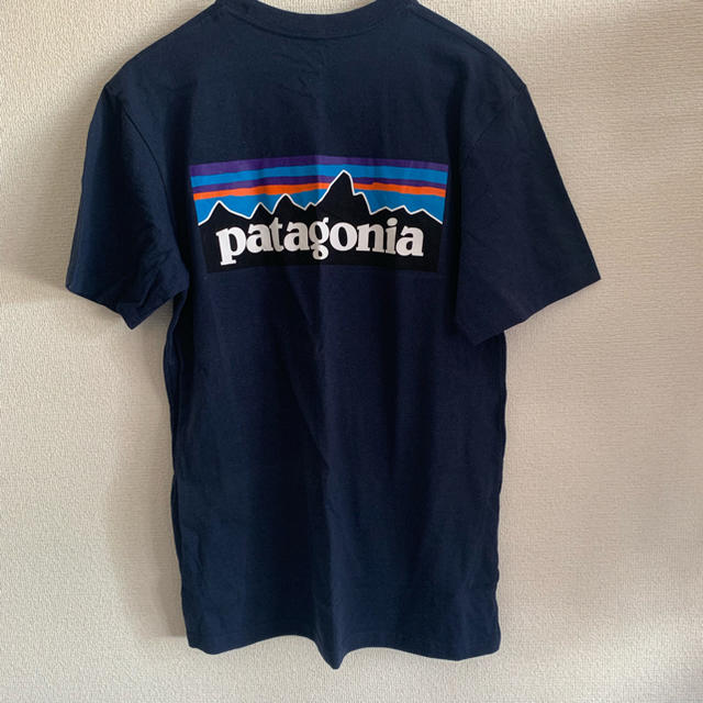 patagonia(パタゴニア)のpatagonia  パタゴニア  Tシャツ レディースのトップス(Tシャツ(半袖/袖なし))の商品写真
