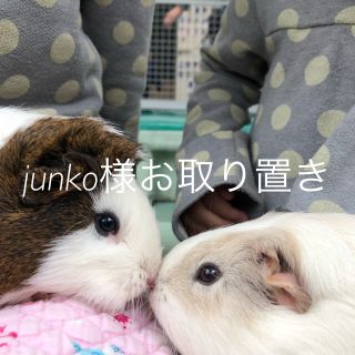 スタージュエリー(STAR JEWELRY)のjunko様専用(ピアス)