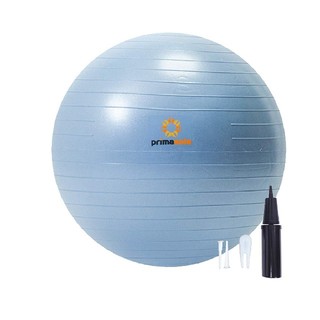 プリマソーレフィットネスボール55cm ペールグレー空気入付PSS91NH014(ヨガ)