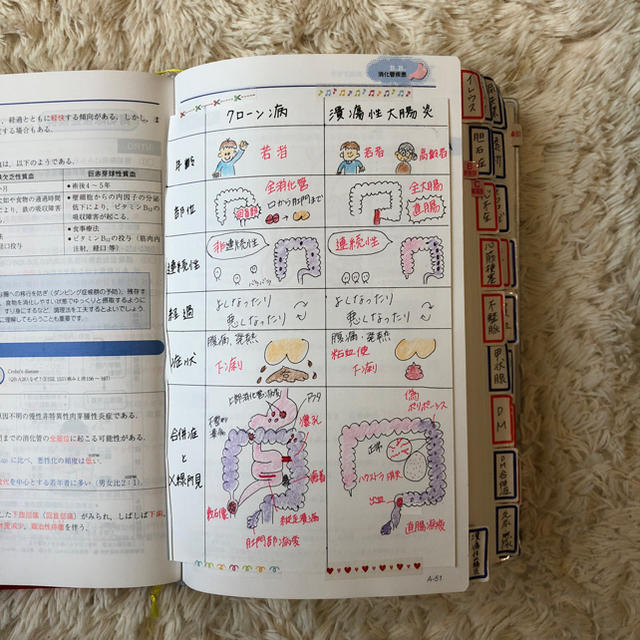 レビューブック 本体 2019 エンタメ/ホビーの本(語学/参考書)の商品写真