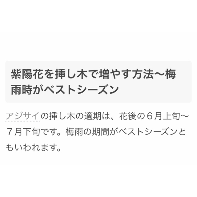 ¥400→350❁︎あじさい(ホンアジサイ) 苗1株 ❁︎ 2点目から¥50引き ハンドメイドのフラワー/ガーデン(その他)の商品写真