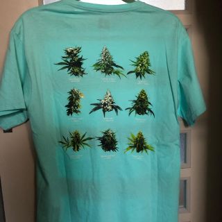 ハフ(HUF)のHUF 420 ボタニカルTシャツ Mサイズ(Tシャツ/カットソー(七分/長袖))