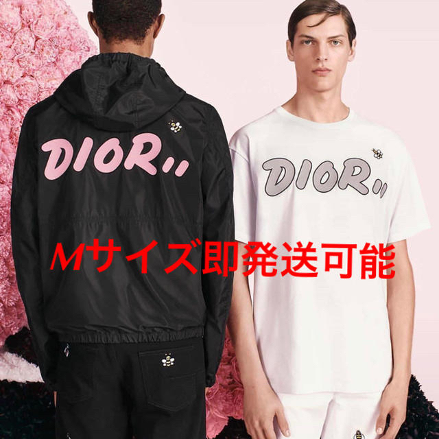 dior homme 19ss kaws Tシャツ Mサイズ