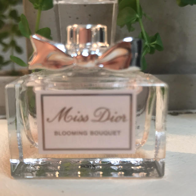Dior(ディオール)のDior ポーチ新品☆ブルーミングブーケ ミニボトル付き レディースのファッション小物(ポーチ)の商品写真