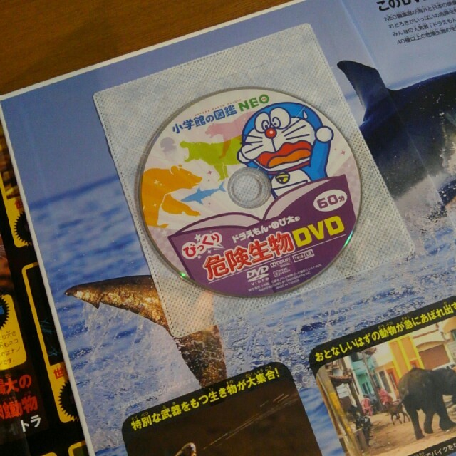Minmin様専用 小学館の図鑑NEO 危険生物 DVD 付 | Neo様専用です