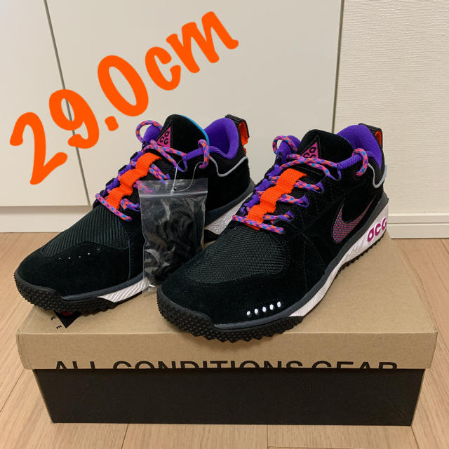 ☆希少サイズ☆ NIKE ACG ドッグマウンテン 29cm 新品未使用