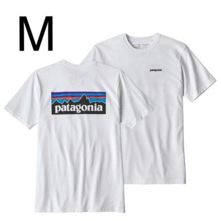 パタゴニア(patagonia)の最新2019 R パタゴニア Tシャツ Mサイズ 新品未使用品 White(ベスト)