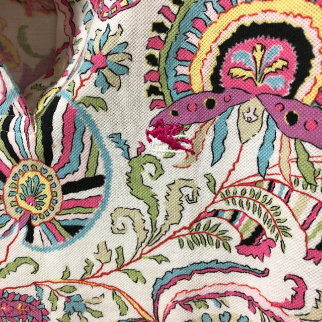 ETRO(エトロ)のエトロポロシャツ レディースのトップス(ポロシャツ)の商品写真