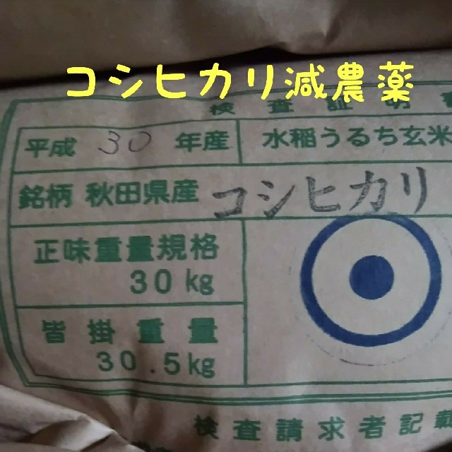 コシヒカリ玄米24.5キロ減農薬　米/穀物