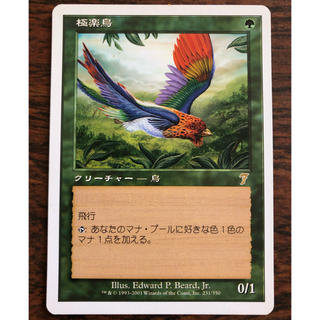 マジックザギャザリング(マジック：ザ・ギャザリング)のMTG 極楽鳥(シングルカード)