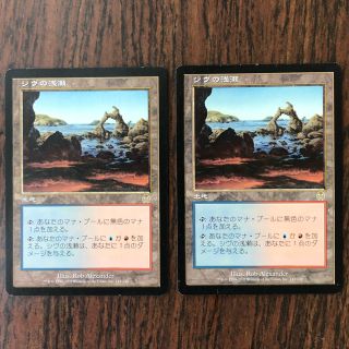 マジックザギャザリング(マジック：ザ・ギャザリング)のMTG シヴの浅瀬 2枚(シングルカード)