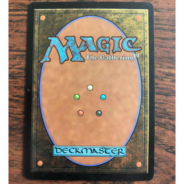 マジック：ザ・ギャザリング(マジックザギャザリング)のたけひろ様 専用 MTG 吹きさらしの荒野 総師の召集 foil エンタメ/ホビーのトレーディングカード(シングルカード)の商品写真