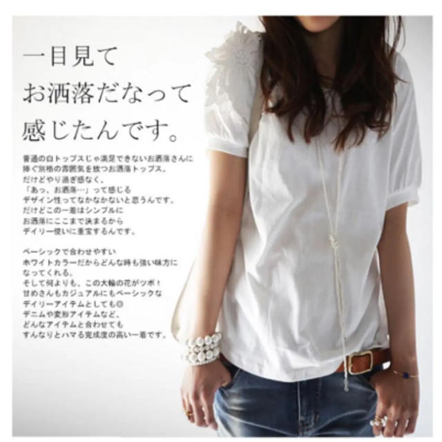 antiqua(アンティカ)のantiquaTシャツ レディースのトップス(Tシャツ(半袖/袖なし))の商品写真