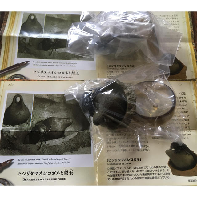 海洋堂(カイヨウドウ)のファーブル昆虫記 エンタメ/ホビーのフィギュア(その他)の商品写真