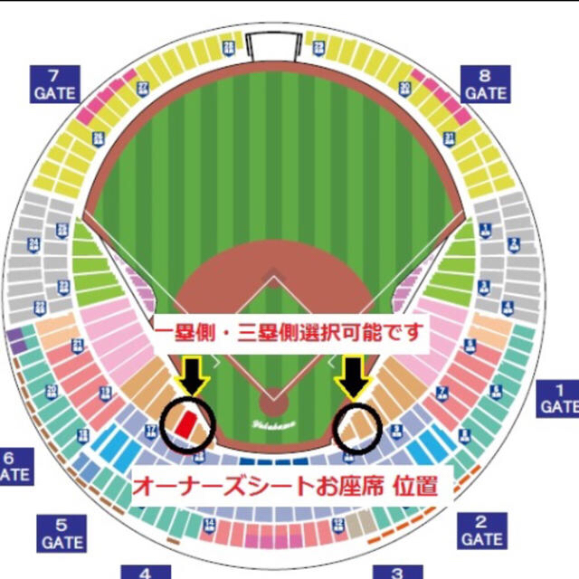 9月21日ベイスターズ対巨人　オーナーズシート 1枚