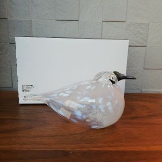 イッタラ(iittala)の新品 iittala snow finch 2018 イッタラバード オイバ(置物)