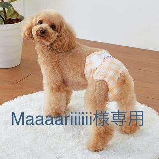 犬猫用おむつ (犬)