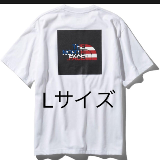 L ノースフェイス USA 国旗 フラッグスクエア Tシャツ WU アメリカ