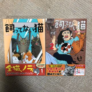 飼ってない猫(1)&(2)(青年漫画)