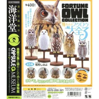 カイヨウドウ(海洋堂)のカプセルQミュージアム フクロウ大全vol.3 全5種セット(その他)