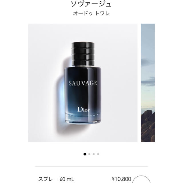 DIOR  ディオール  香水  ソヴァージュ  ６０ml