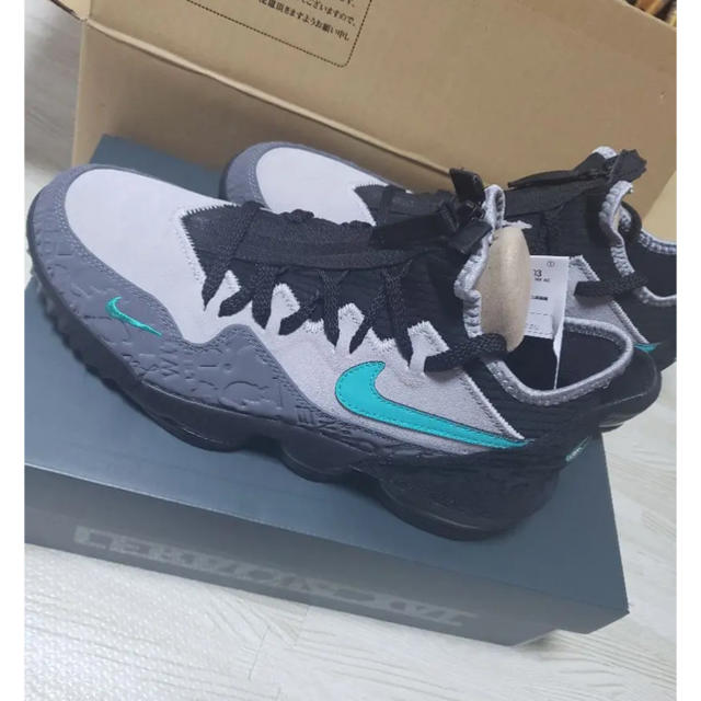 【ドレコ必須】lebron 16 jade 27.5