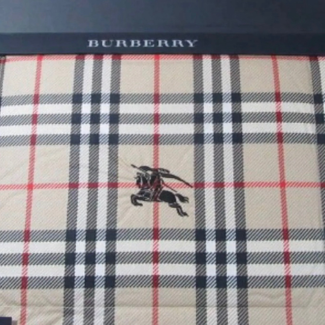 BURBERRY(バーバリー)のバーバリー ダウンケット 羽毛肌掛け布団 2枚 150×210 シングルロング インテリア/住まい/日用品の寝具(布団)の商品写真