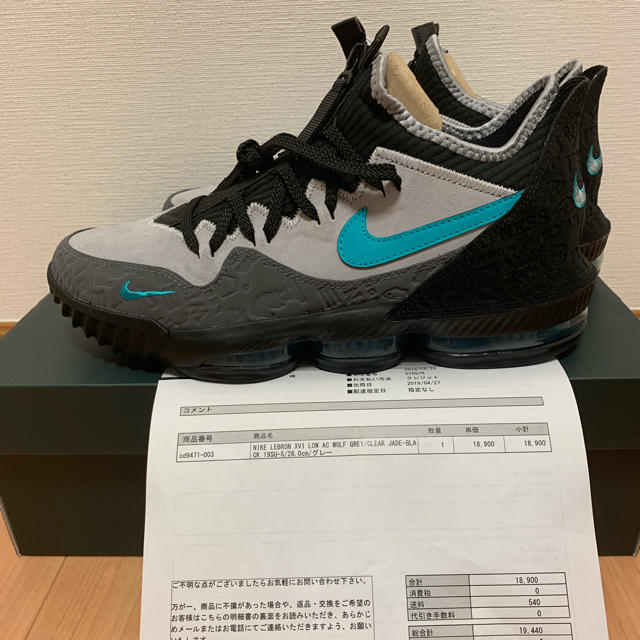 Nike LEBRON atomos