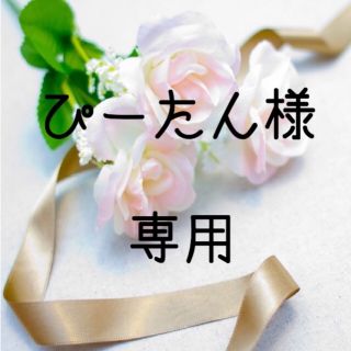 ぴーたん様専用  お米　H30　愛媛県産コシヒカリ　白米　30㎏(米/穀物)