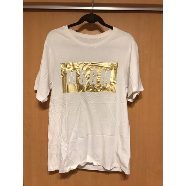 MSGM(エムエスジイエム)のMSGM ロゴTシャツ アトランティックスターズ ディアベル メンズのトップス(Tシャツ/カットソー(半袖/袖なし))の商品写真