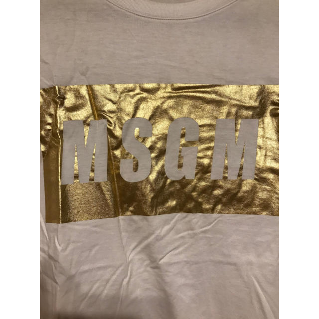 MSGM(エムエスジイエム)のMSGM ロゴTシャツ アトランティックスターズ ディアベル メンズのトップス(Tシャツ/カットソー(半袖/袖なし))の商品写真