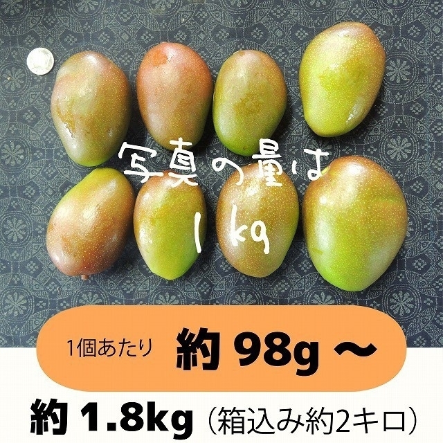 ［橙2］約1.8キロ　グリーンマンゴー 青マンゴー　摘果マンゴー　加工用 食品/飲料/酒の食品(フルーツ)の商品写真