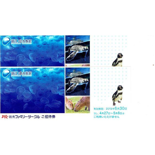 新江ノ島水族館・ご招待券×２枚・6/30迄有効 チケットの施設利用券(水族館)の商品写真