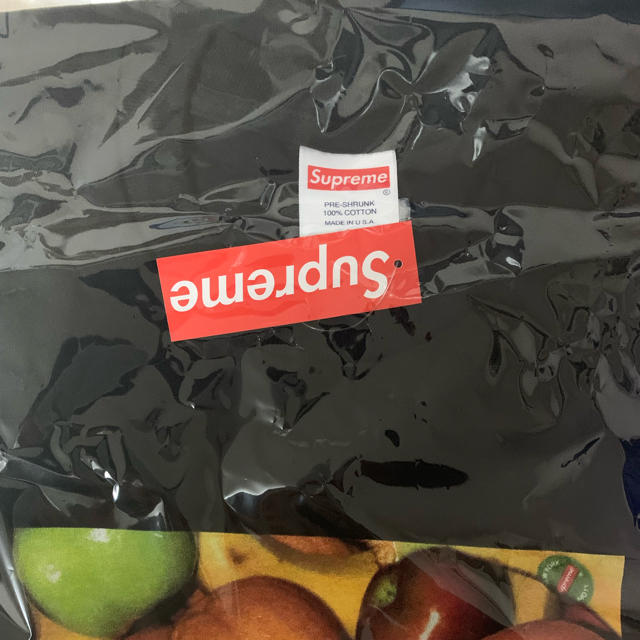 Supreme(シュプリーム)のsupreme fruit tee sサイズ メンズのトップス(Tシャツ/カットソー(半袖/袖なし))の商品写真