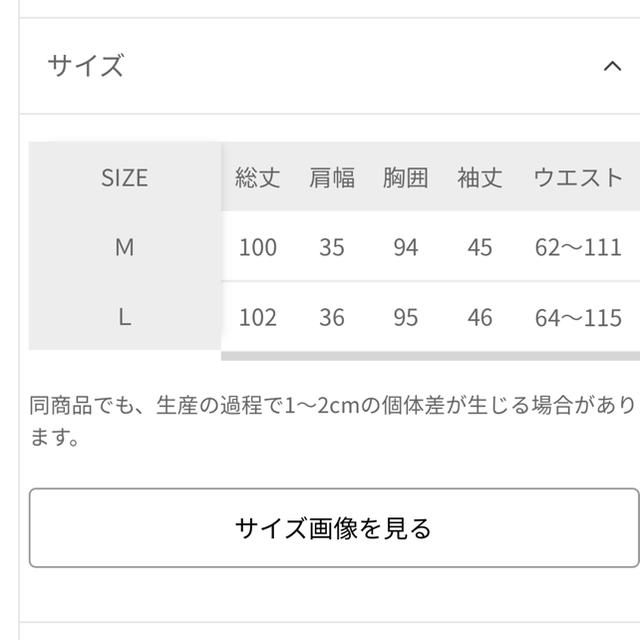 apart by lowrys(アパートバイローリーズ)のドットチュールワンピース レディースのワンピース(ひざ丈ワンピース)の商品写真