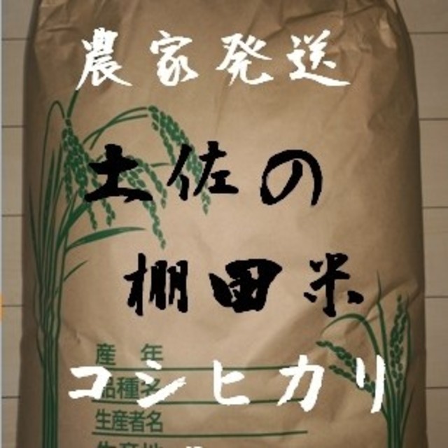 平成30年 高知県産棚田米
農家直送のコシヒカリ 玄米10kg 送料無料